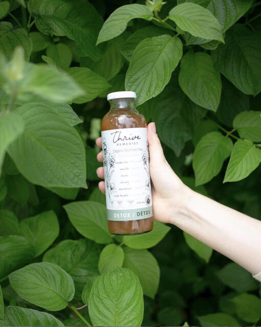 woman's hand holding a bottle of thrive remedies detox flavour in the bushes